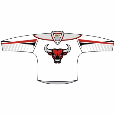 Hockey Fast Eco 01 