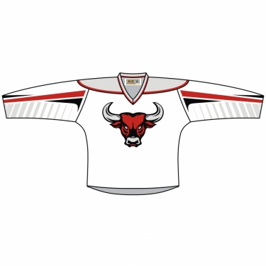 Hockey Fast Eco 01 