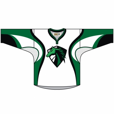 Hockey Mission 01 