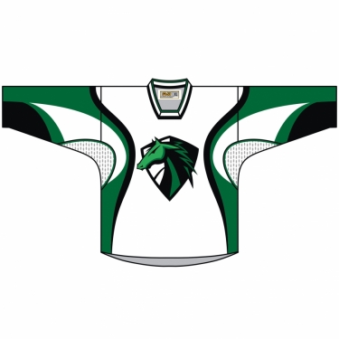 Hockey Mission 01 