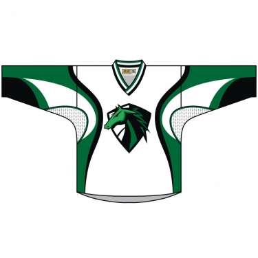 Hockey Mission 01 